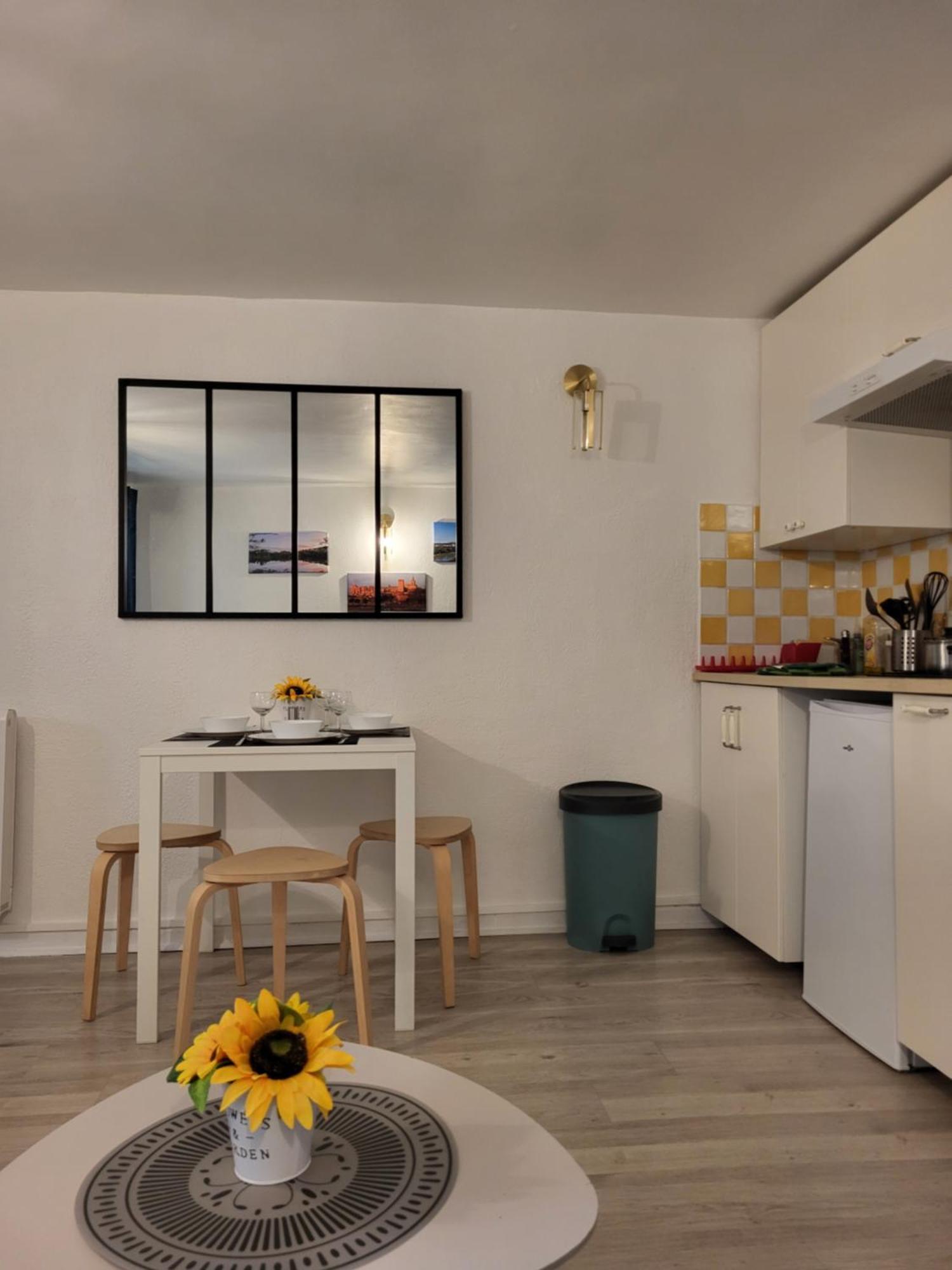 Studio/2 Pieces, Terrasse Avignon Ngoại thất bức ảnh