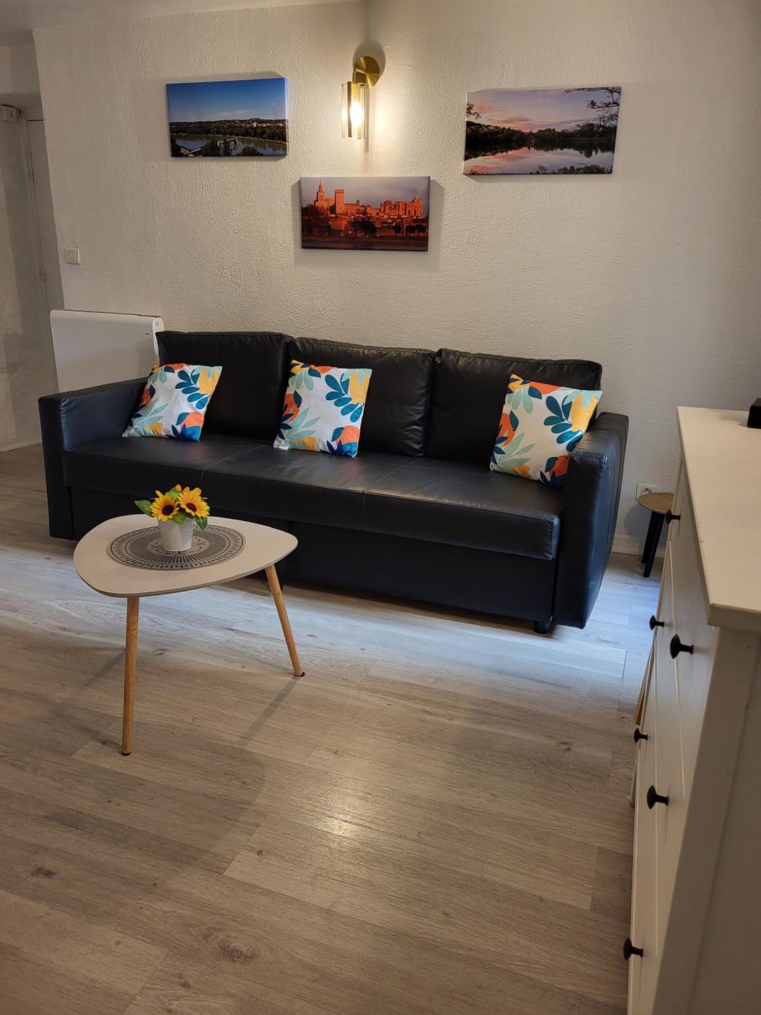 Studio/2 Pieces, Terrasse Avignon Ngoại thất bức ảnh