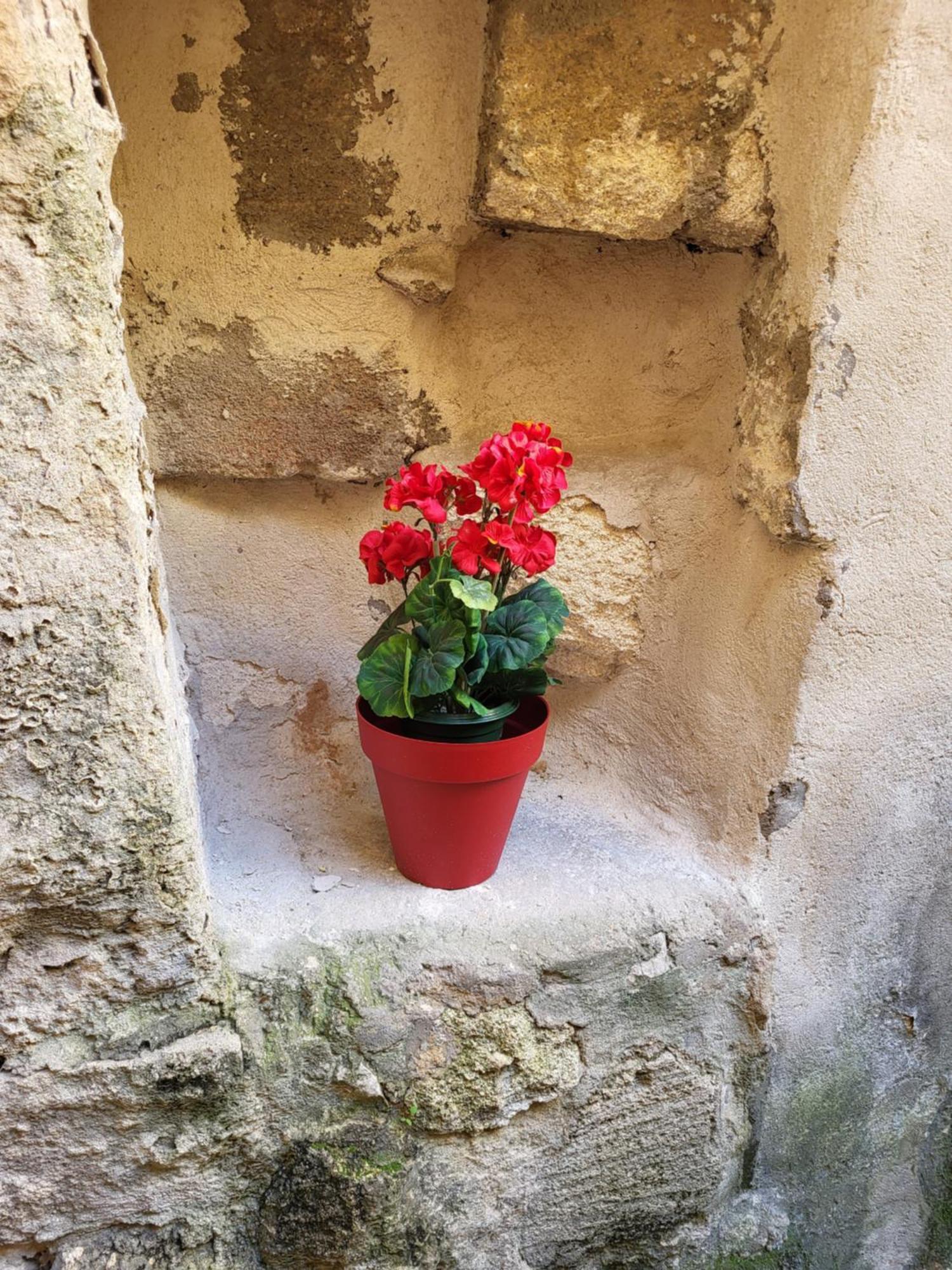 Studio/2 Pieces, Terrasse Avignon Ngoại thất bức ảnh
